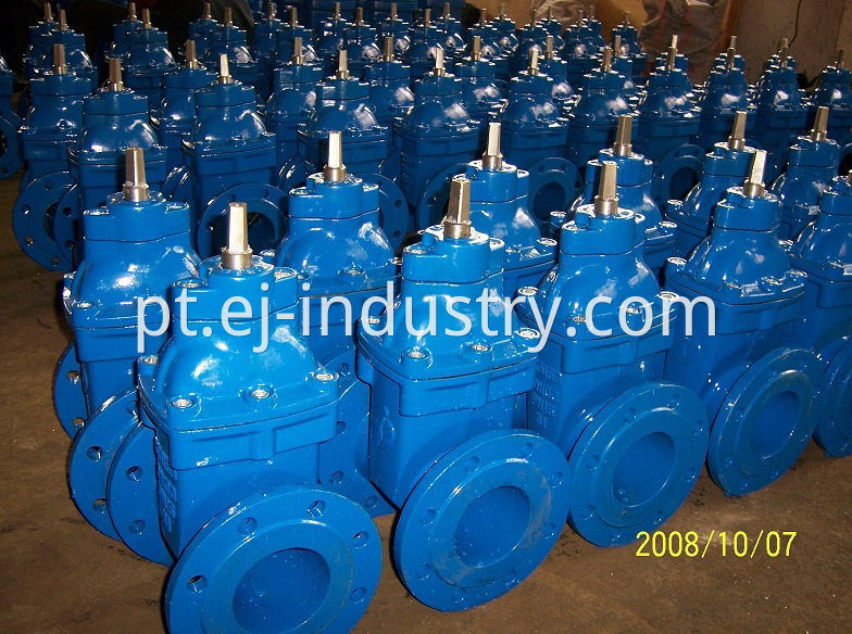 resilient seat gate valve